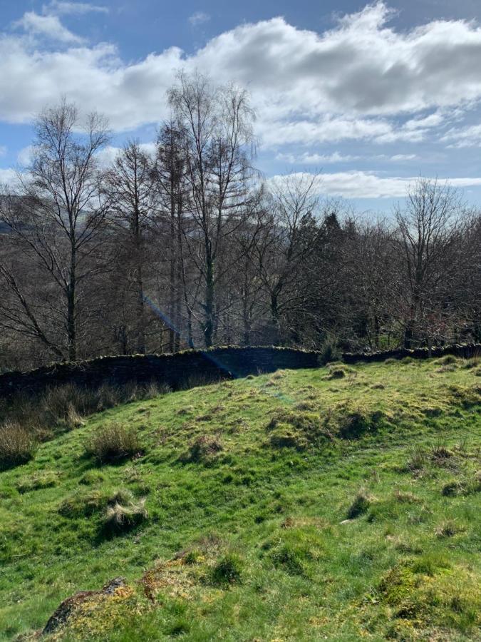 Snowdonia Rock Cottage - Cosy And Pet Friendly Penrhyndeudreath Eksteriør billede